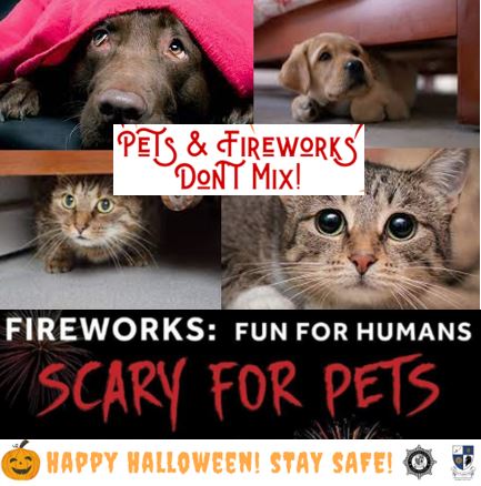 monaghan_fire's tweet photo. Not Everyone Enjoys Fire Works at Halloween.
For More Halloween Safety Information https://t.co/xGDYdrG1LO https://t.co/cCmCPic3JJ