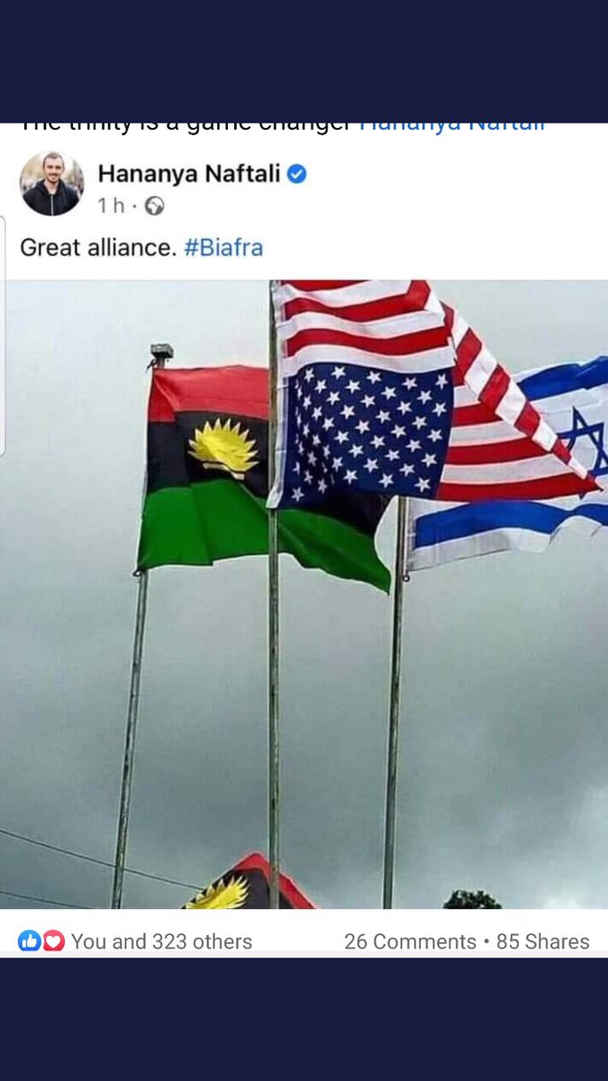 chisom_frank16's tweet photo. #BiafraReferendum #BiafraExit #FreeNnamdiKanu https://t.co/Z3lVBgxBCC