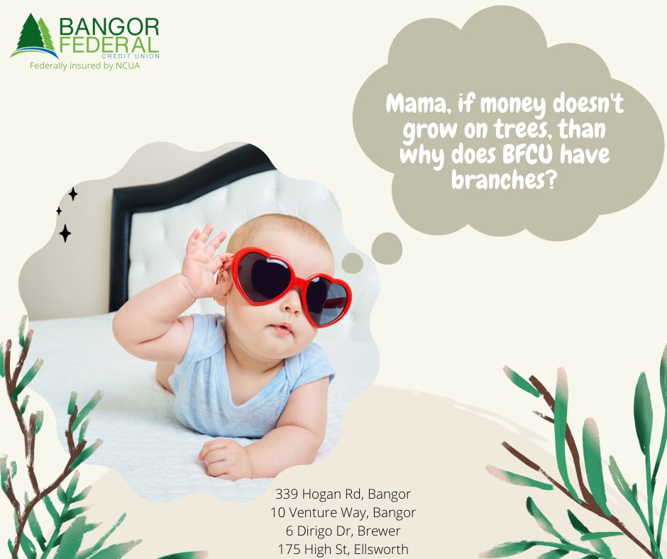 Do you feel this? HA HA! 
Money doesn’t grow on trees, but we are here to help with your financial needs at our 4 branches in Bangor, Brewer &amp; now Ellsworth!