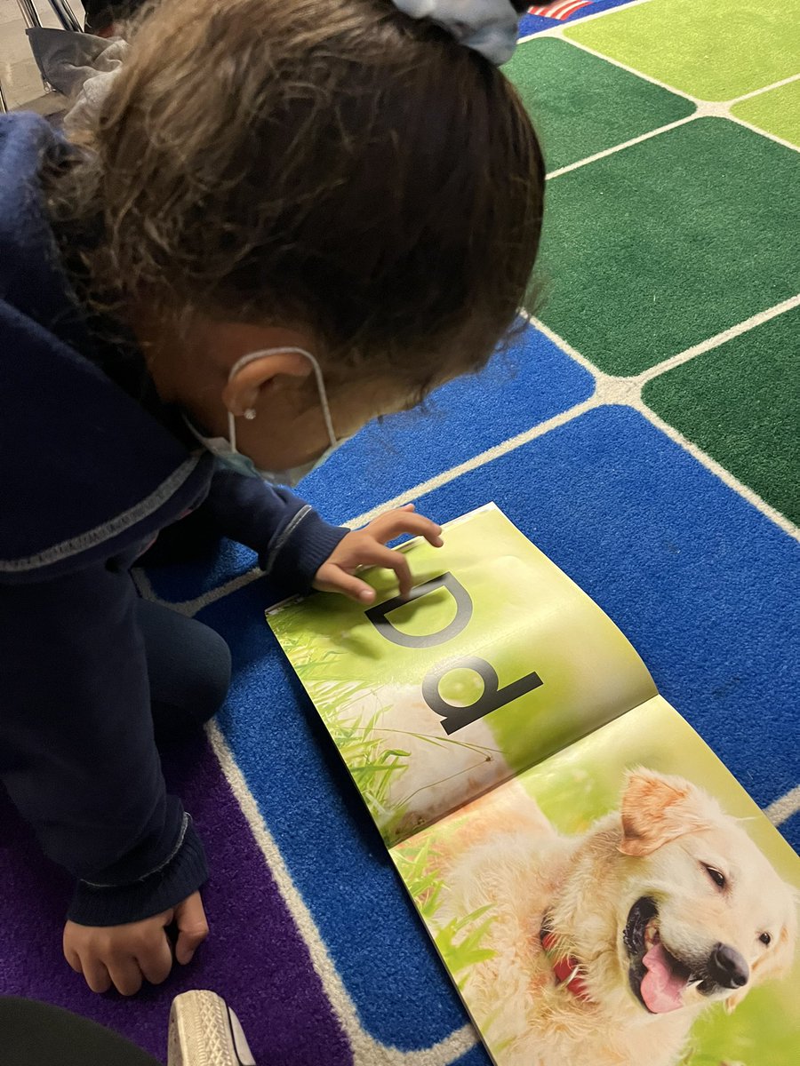 amyislegit's tweet photo. @CaneRunCougars are on the move! #JCPS First graders doing DAILY letter tracing have all moved up in known letters. One student moved from 14 known letters to 36 in TWO WEEKS! @DeannaFordTeach https://t.co/XgJ1csqQr5