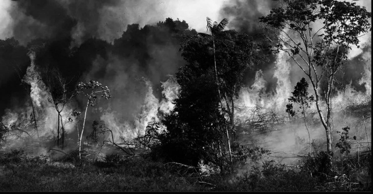 betteradze's tweet photo. Vengeance of the Italians.
After their defeat, the Italians came back with much more force, murdered the people and burned the villages of Deqi-Sh’hay and Adi-N’amin of Anseba. The Italians killed the Administrator/Kentiba Tesfaxion of Adi-N’amin in front of his people. https://t.co/x4rcE4h8a1