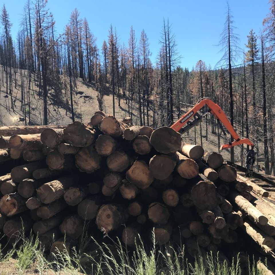 Sierra Institute for Community and Environment tweet media