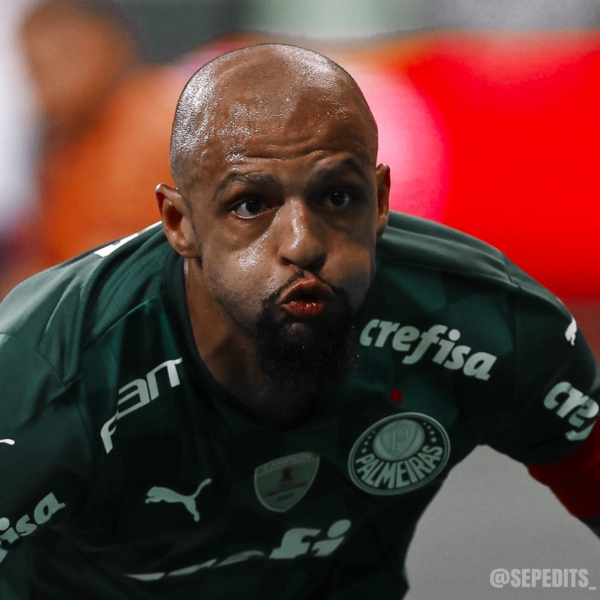 SepEdits_'s tweet image. Wallpapers e Icons - Felipe Melo
[ Palmeiras 2 x 1 Sport ]