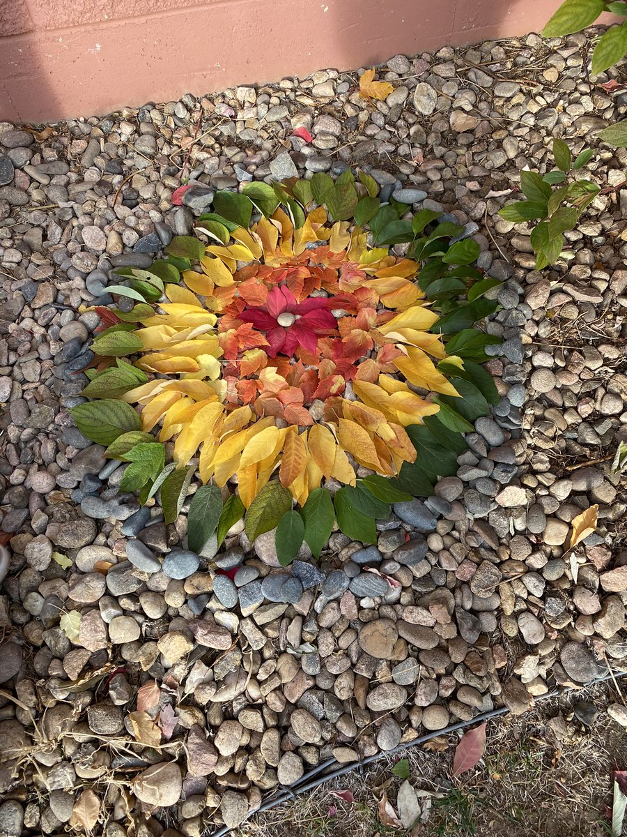BCDSchoolNews's tweet image. MS Visual Art class has been busy dressing up campus in the Andy Goldsworthy tradition. #andygoldsworthy #ibarts #middleschool #campus #fallinboulder