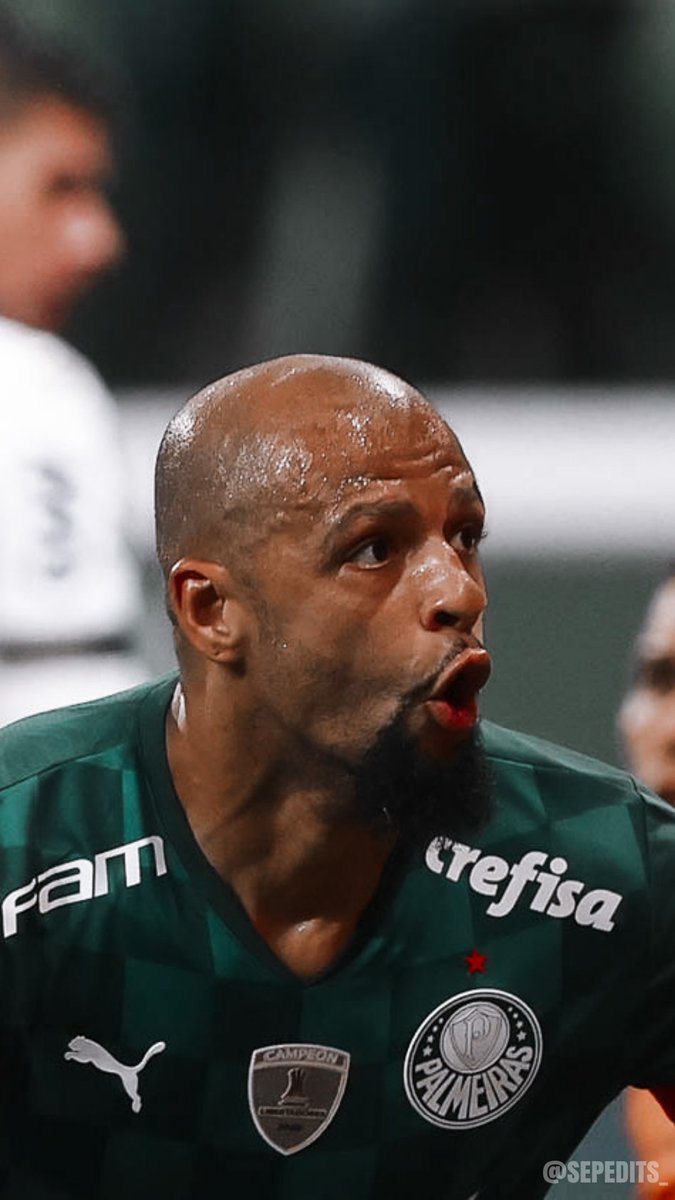 SepEdits_'s tweet image. Wallpapers e Icons - Felipe Melo
[ Palmeiras 2 x 1 Sport ]
