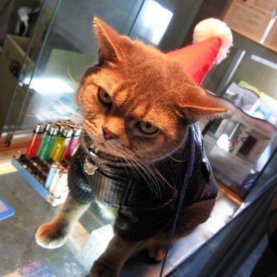 #YeniProfilResmi