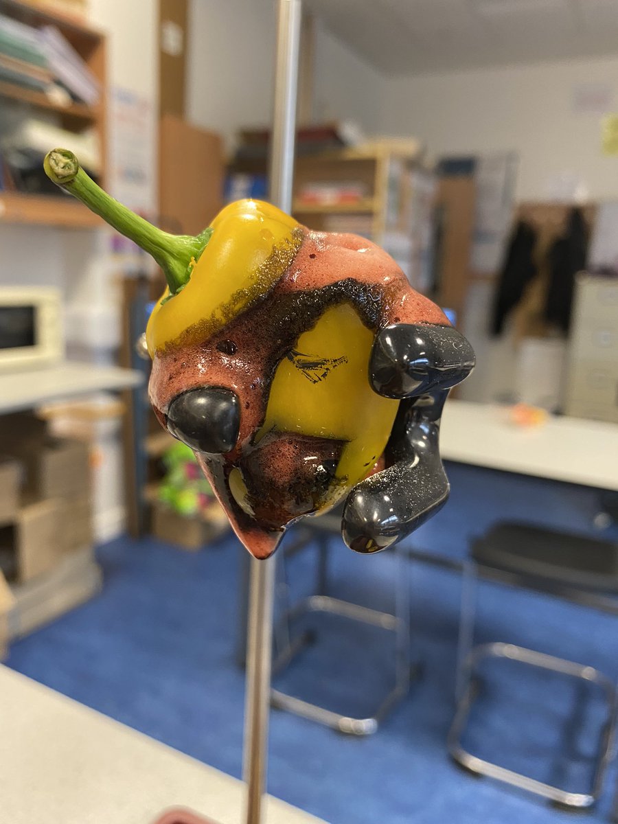 StarkPhysics's tweet photo. Great work from S1 Science Club @CarlukeHS_Sci today with a Halloween theme-puking 🫑 and diffusion 🎃 🎃🎃 Spook-tacular results! #science #skills #homemadescience https://t.co/QXPMusi30M