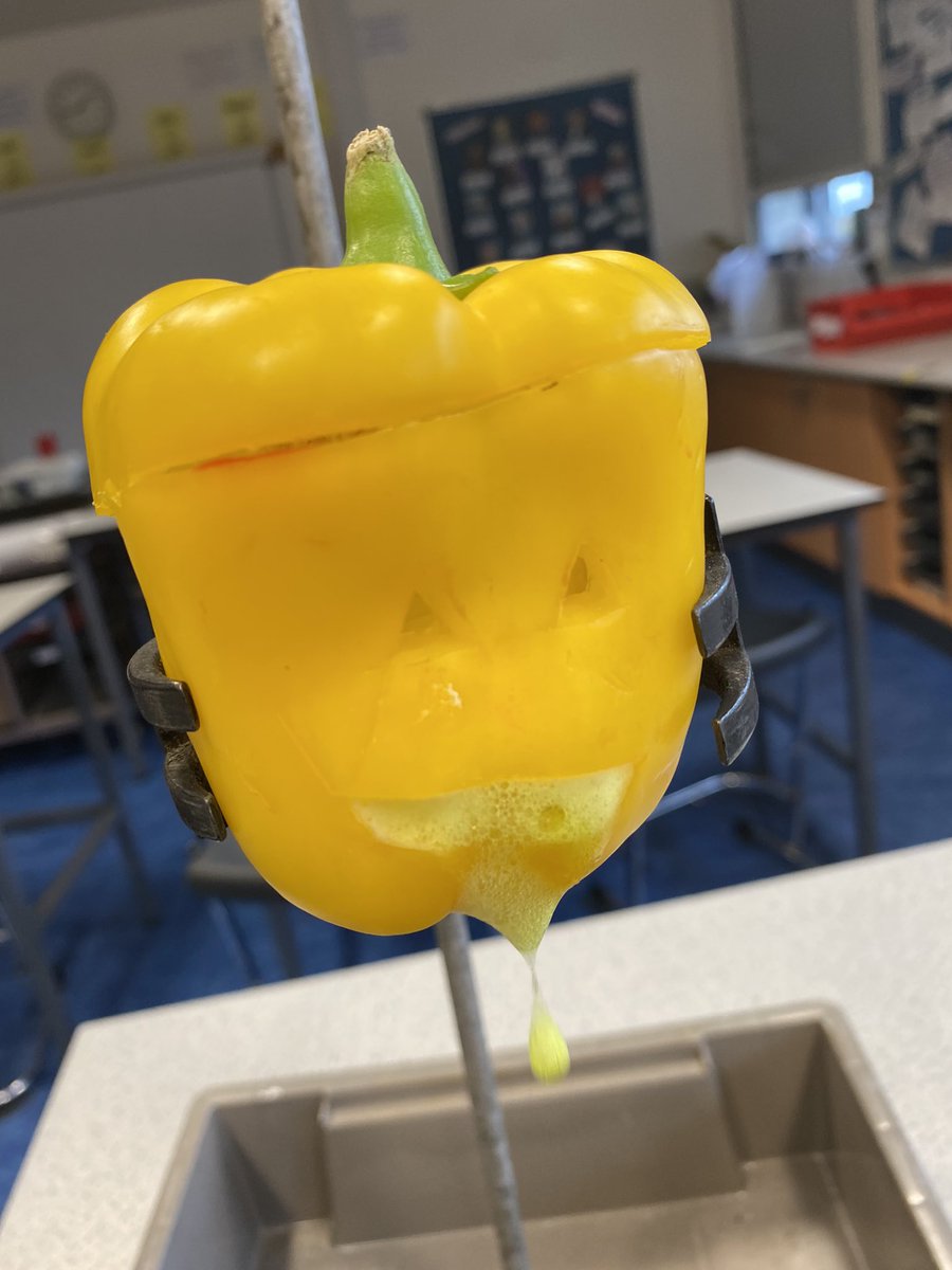 StarkPhysics's tweet photo. Great work from S1 Science Club @CarlukeHS_Sci today with a Halloween theme-puking 🫑 and diffusion 🎃 🎃🎃 Spook-tacular results! #science #skills #homemadescience https://t.co/QXPMusi30M