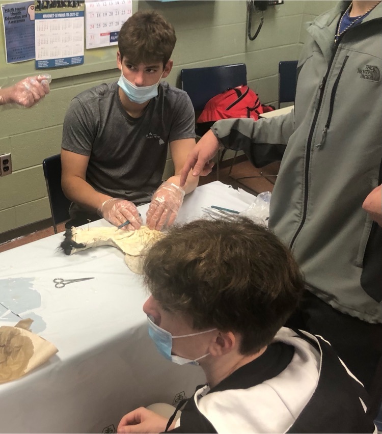MSHSBulldogs's tweet image. Are all cows the same? Ag students dissected reproductive systems to analyze differences in an agriscience lab! Bovine fun today!