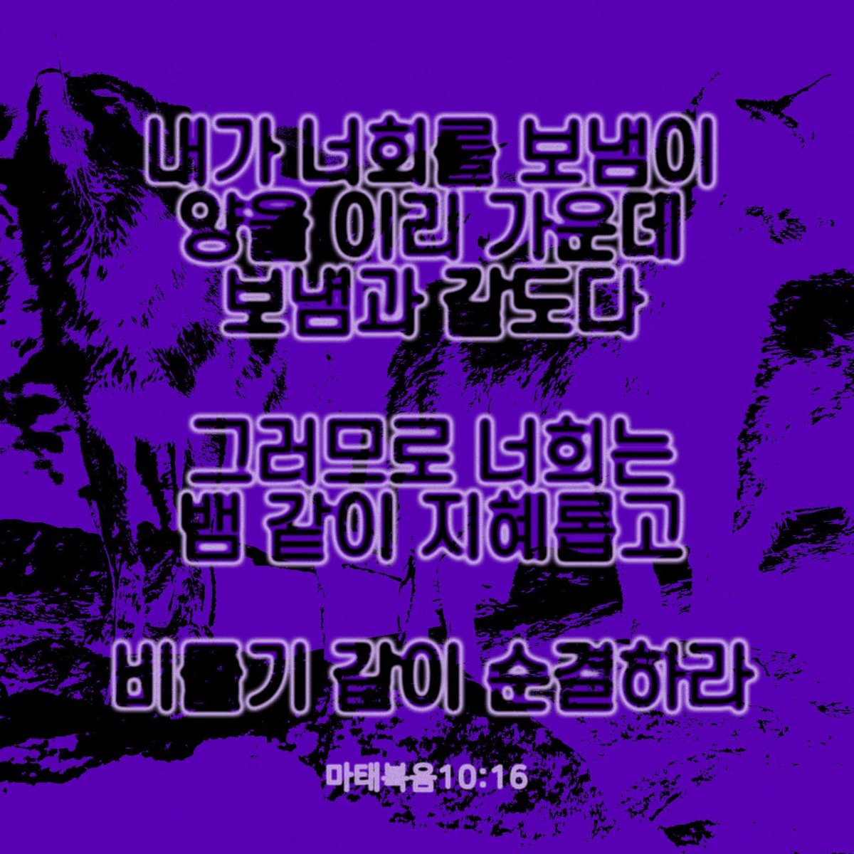 bellpie1 tweet picture