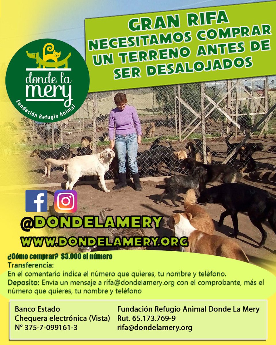 Tonka Tomicic (@tonkatp) on Twitter photo 