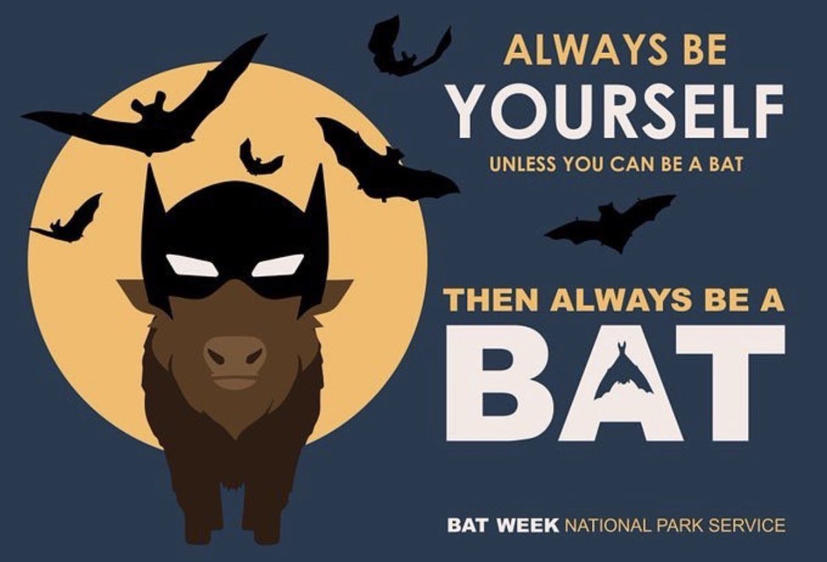 GiveBatsABreak's tweet photo. Today’s #BatWeek affirmation brought to you by Gateway National Recreation Area and the National Park Service https://t.co/thyVYkEyFU