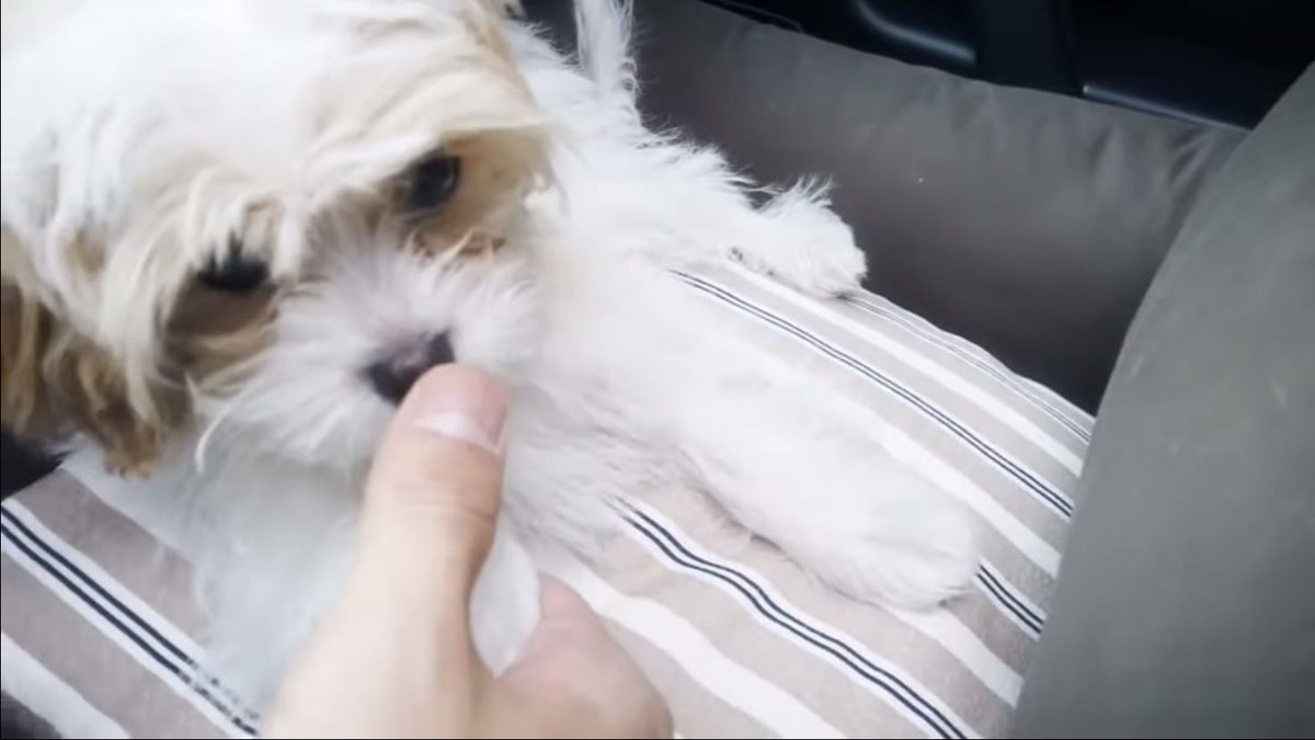 loeyfeed's tweet photo. 🥺❤️ https://t.co/3EJ62lSwZv