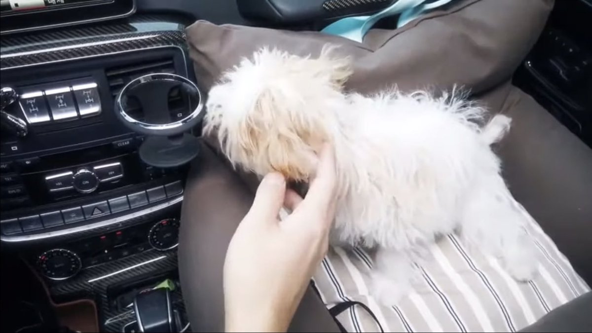 loeyfeed's tweet photo. 🥺❤️ https://t.co/3EJ62lSwZv