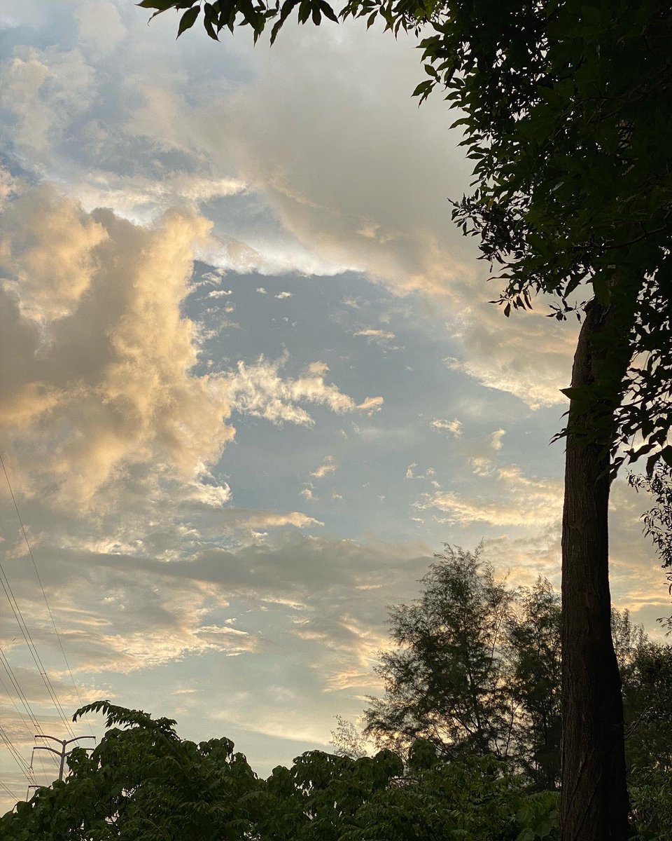 ShawnZod's tweet photo. If you having a difficult day, just go out and be with natural for a while. Sure u will have a little bit of positive impact on you. https://t.co/TT81OztLRa