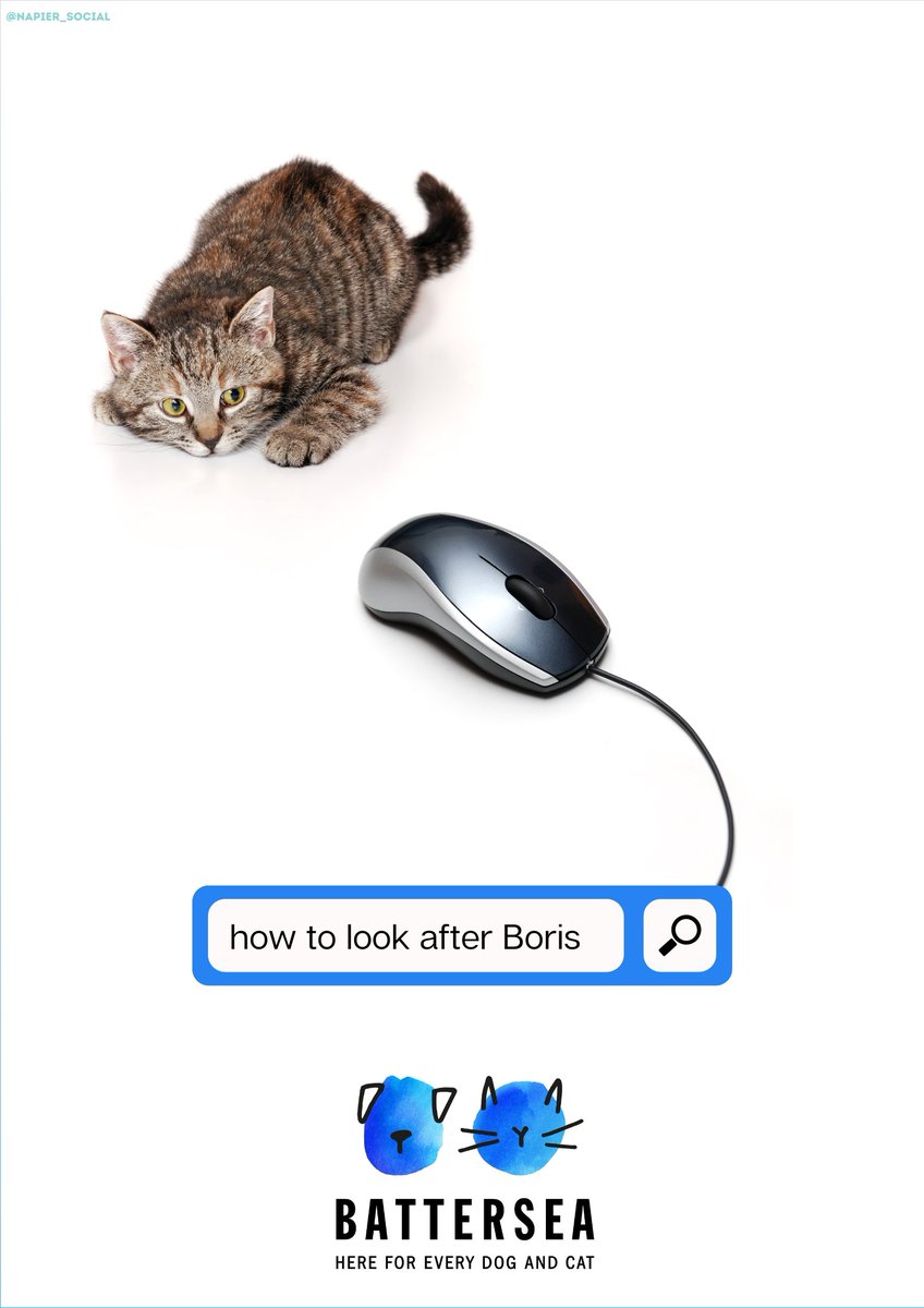 Napier_Social's tweet photo. Pet advice is just a click away with @Battersea_ 🐕🐈‍⬛ #RescueIsMyFavouriteBreed 

@OneMinuteBriefs #ombles https://t.co/NP0fodxFdl