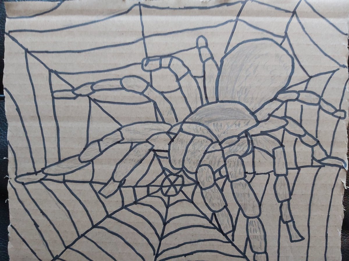 amynorton86's tweet photo. I actually think this is pretty amazing art from Jaxon. All free hand with Internet research.
All in preparation for Halloween!
@MissBrownHLC  @HLC_Primary https://t.co/0ej9UeRdhO