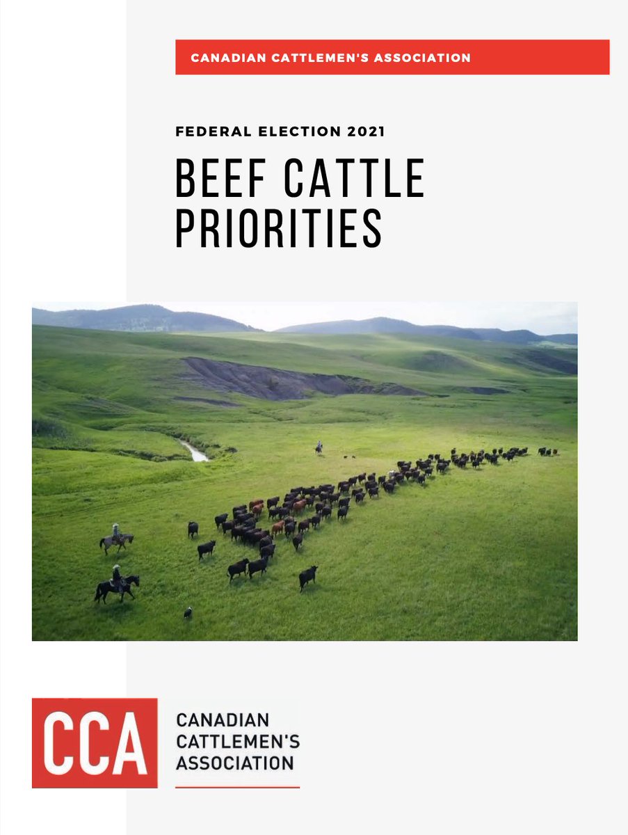 CanCattle's tweet photo. With today’s federal cabinet shuffle, follow along for key portfolios to note for Canadian beef farmers and ranchers as we advocate for shared priorities for Canadian beef including economic resiliency, trade, environment and climate change. #cdnpoli #cdnag #vote4Ag https://t.co/bvCfE1twXY