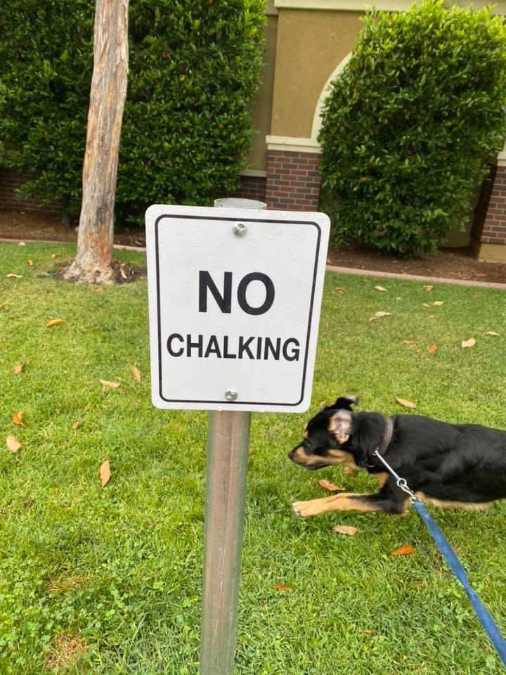 OhThatMegs's tweet photo. @AshWrites My HOA put this sign up in our courtyard https://t.co/uyinBQquP7