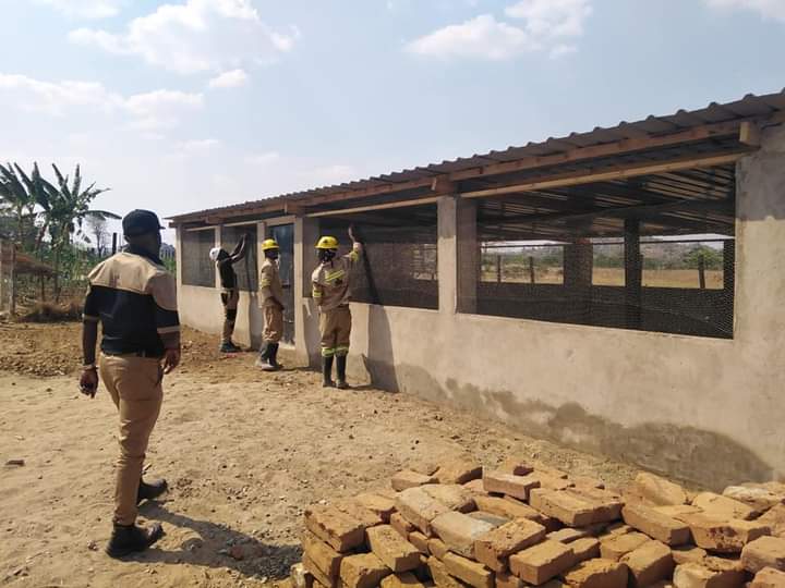 MufaroTheFarmer🍊🍉🍎🍓🍒🍇🥬🍍🌽🥒🥦 tweet media