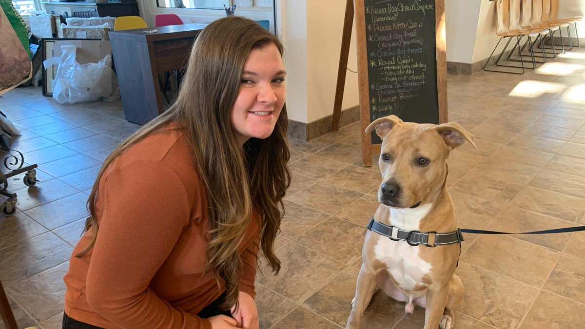 After 222 days in our care, we are thrilled to share that Archie has made his heart connection! 

🥳❤🥳❤🥳❤

Congratulations to Archie and his fur-ever family! 💕

#gmhumanesociety #adoptionsuccess #shelterdogsrock