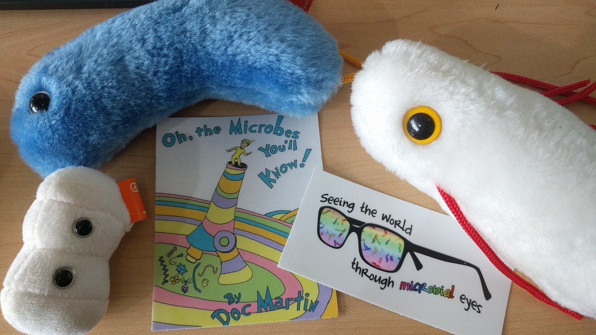 MostlyMicrobes's tweet photo. Of course the fabulous #MicrobialSwag was lovely too! So generous. https://t.co/DxaLQS5UUy