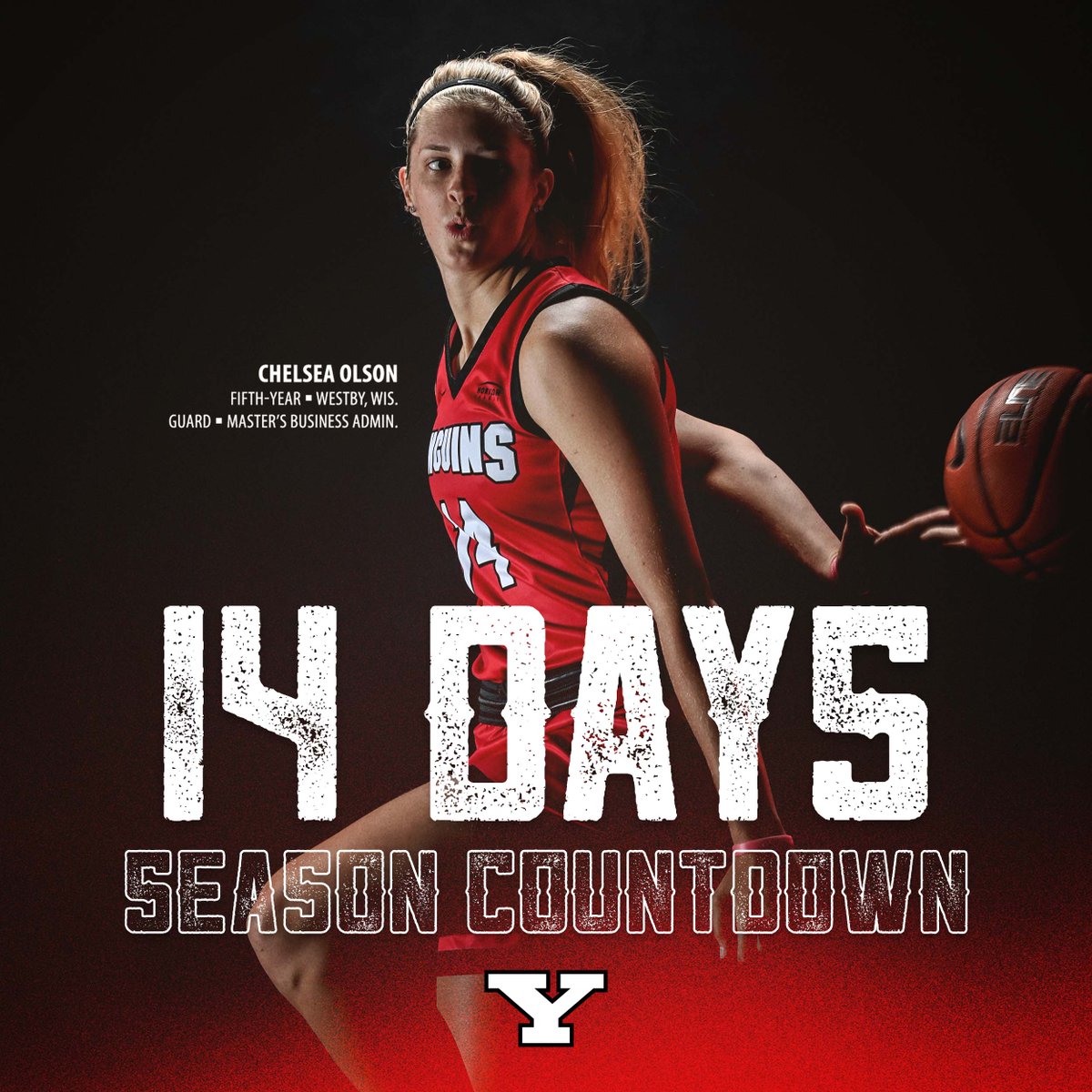 Youngstown State WBB🐧 tweet media