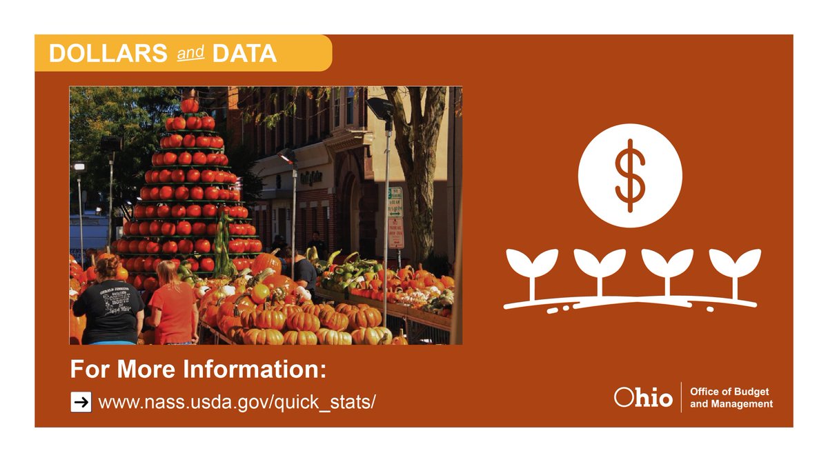 Ohio_OBM's tweet photo. In 2020, Ohio harvested 3,600 acres of pumpkins, contributing $10 million towards the state’s agricultural production. 🎃🌱 @OhioDeptofAg #NationalPumpkinDay #DollarsandData 

➡️ https://t.co/KlezEjTD9C https://t.co/YRYmkgi2oe
