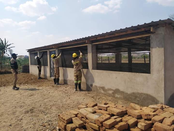 MufaroTheFarmer🍊🍉🍎🍓🍒🍇🥬🍍🌽🥒🥦 tweet media