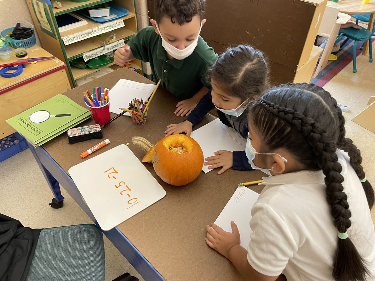 mronan10's tweet photo. Scientists hard at work observing and journaling the inside of a pumpkin. @kimsw2871 @LBpublicschools @EDUtherapy2 @C4LPreK #TogetherWeCan https://t.co/zlVd40ZrsI