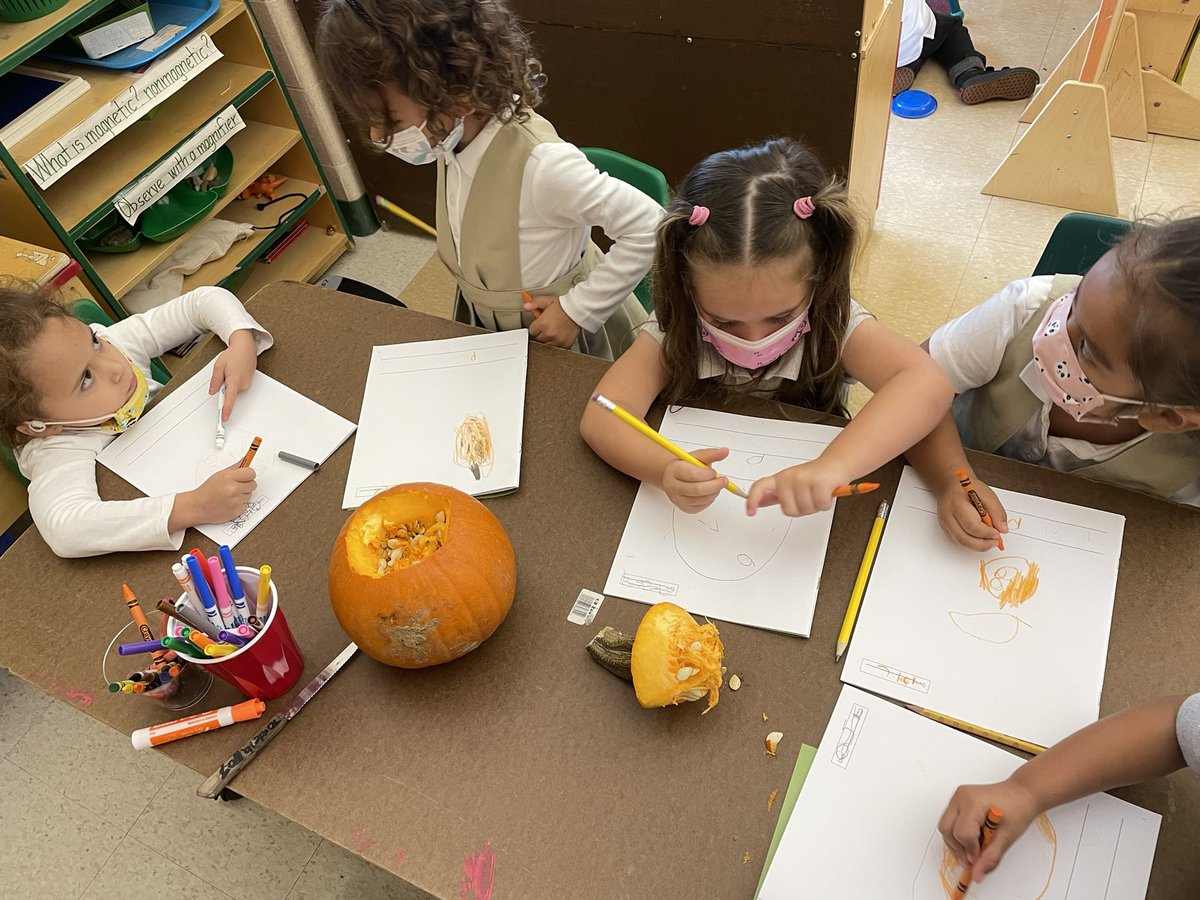 mronan10's tweet photo. Scientists hard at work observing and journaling the inside of a pumpkin. @kimsw2871 @LBpublicschools @EDUtherapy2 @C4LPreK #TogetherWeCan https://t.co/zlVd40ZrsI