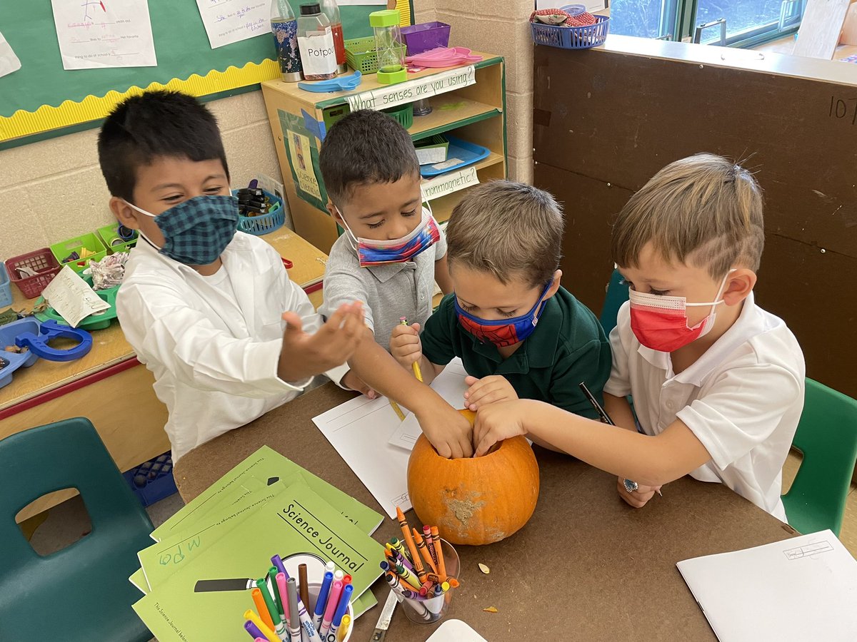 mronan10's tweet photo. Scientists hard at work observing and journaling the inside of a pumpkin. @kimsw2871 @LBpublicschools @EDUtherapy2 @C4LPreK #TogetherWeCan https://t.co/zlVd40ZrsI