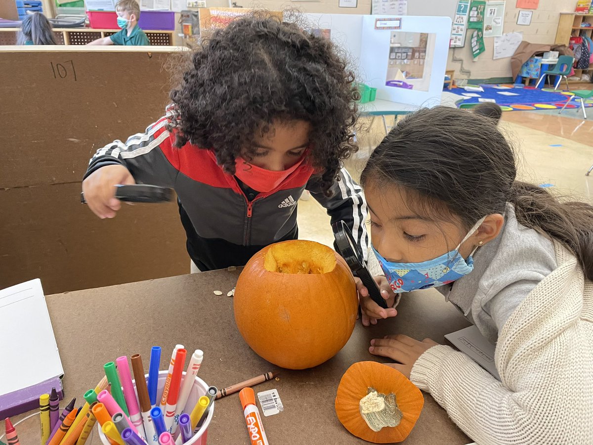 mronan10's tweet photo. Scientists hard at work observing and journaling the inside of a pumpkin. @kimsw2871 @LBpublicschools @EDUtherapy2 @C4LPreK #TogetherWeCan https://t.co/zlVd40ZrsI