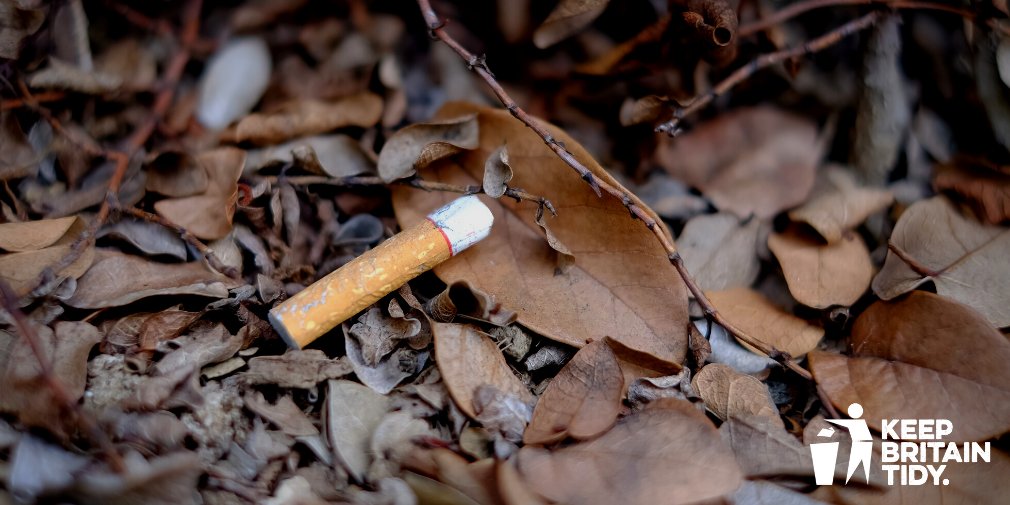 KeepBritainTidy's tweet image. Did you know, dropped cigarettes are the most common form of litter? They contain chemicals that are harmful to nature, and this time of year, camouflaged by crunchy autumn leaves, they can be a fire hazard too. Keep your butt until you find a bin! #BinTheButt #KeepItBinIt