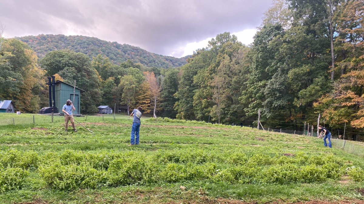 Grow Appalachia (@growappalachia) on Twitter photo "Healthy soil grows healthy food, healthy food nourishes healthy people, and healthy people build healthy communities.” -- Love this quote from our garden partner <a href="/HighRocksEdCorp/">High Rocks</a>'s blog (a lesson shared by one of their garden mentors). More here: growappalachia.berea.edu/2021/10/14/hea… "Healthy soil grows healthy food, healthy food nourishes healthy people, and healthy people build healthy communities.” -- Love this quote from our garden partner <a href="/HighRocksEdCorp/">High Rocks</a>'s blog (a lesson shared by one of their garden mentors). More here: growappalachia.berea.edu/2021/10/14/hea…