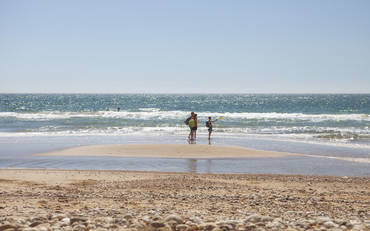 IW Travel Ambassador tweet media