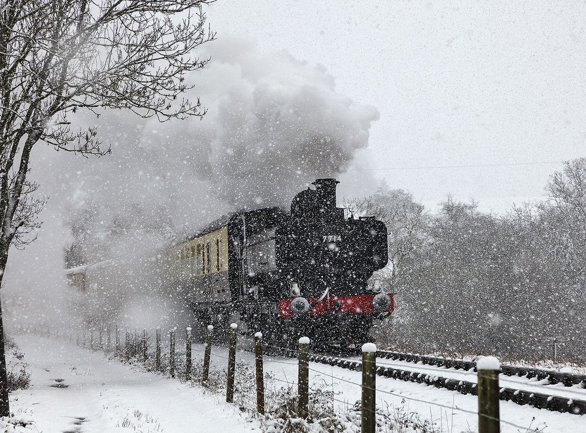 svrofficialsite's tweet photo. Warm compartments, cold snow - the perfect Christmas experience behind a powerful Pannier Tank! https://t.co/dD0piZ7gm7
#SVRFamily #SnowScenes https://t.co/YI2WnvE1FQ