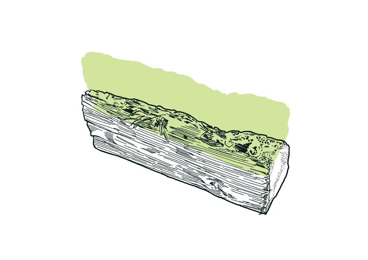 benbrignell's tweet photo. Firewood 26/31
#inktober2021 #logtober https://t.co/ZluKoIU85w