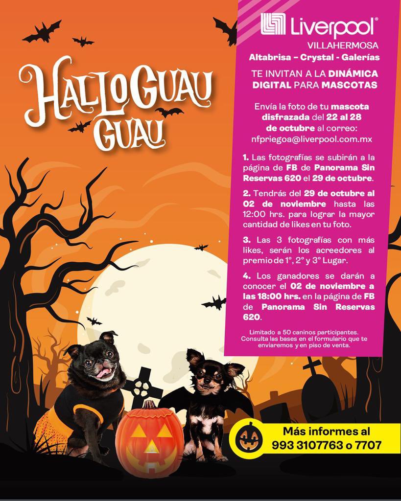 sinreservas620's tweet photo. Liverpool y Panorama Sin Reservas te invitan a participar en esta dinámica digital de Disfraces de Halloween de Mascotas (Caninos). 🐶🦇🎃

Del 22 al 28 de octubre envía la foto de tú mascota disfrazada con el tema de Halloween al correo nfpriegoa@liverpool.com.mx y participa. https://t.co/DpEfNU4Hxo