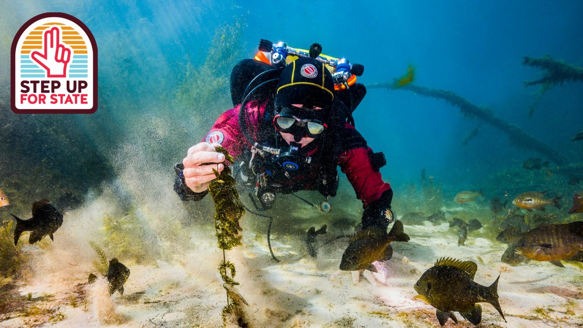 RyanKSpencer's tweet photo. It’s time to #StepUpforState and make a difference! Donate to @MeadowsC4Water today to ensure the San Marcos Springs remains clean, clear, and flowing forever for generations to come. There’s only 1,899 minutes to give. Make your gift now: https://t.co/djQgp15w1h #MC4Water https://t.co/srIoM2K3qW