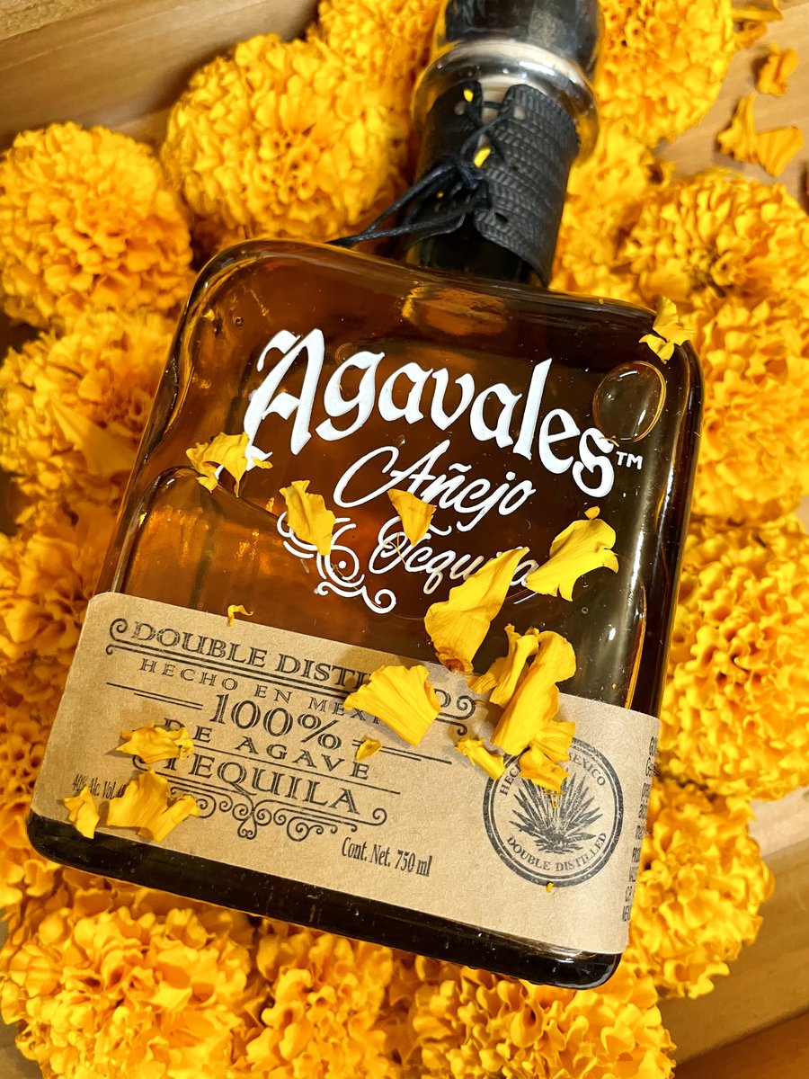 AgavalesTequila's tweet photo. Celebrate Dia de Los Muertos with us! 🍸 https://t.co/2AW5kPc9kx