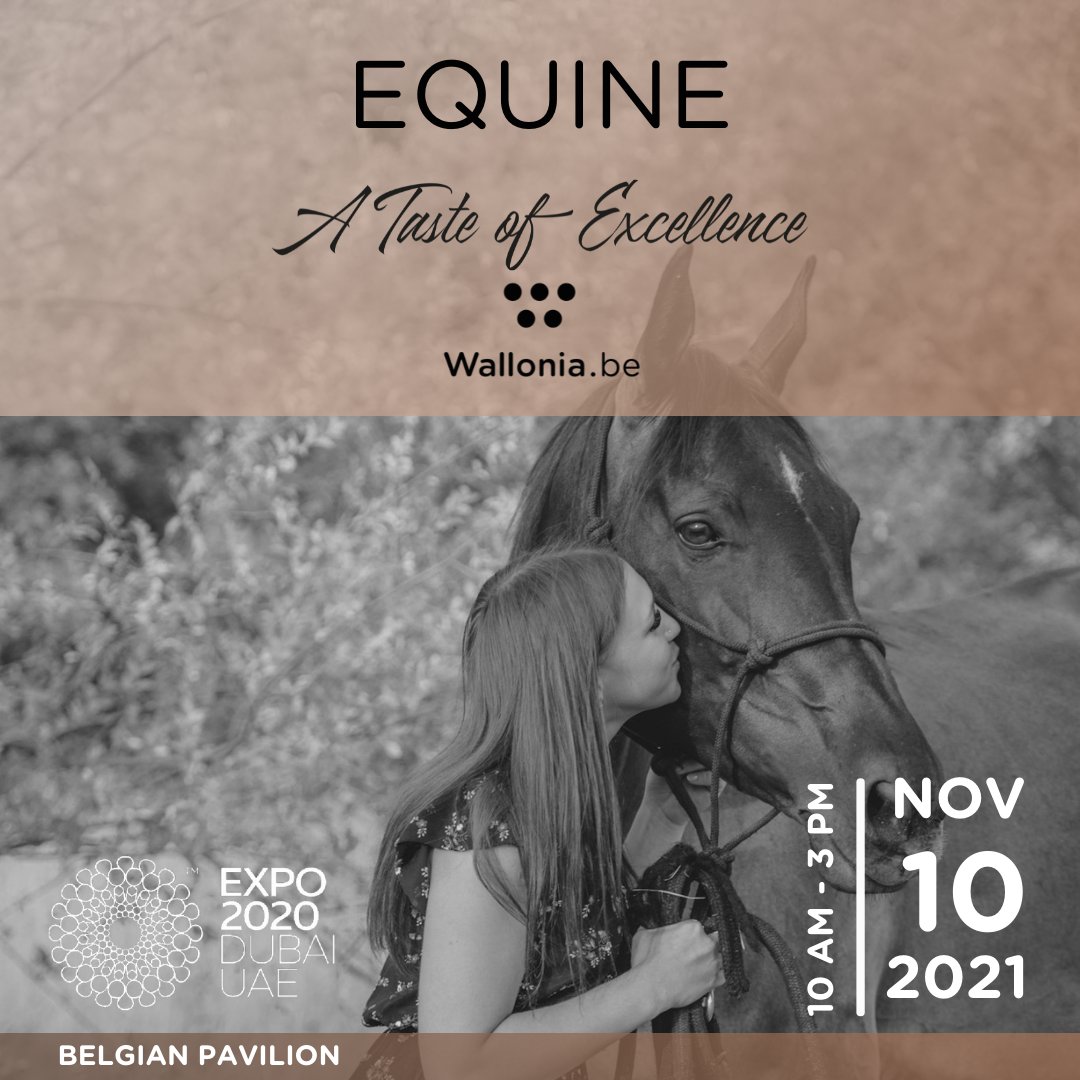 Awex UAE tweet media