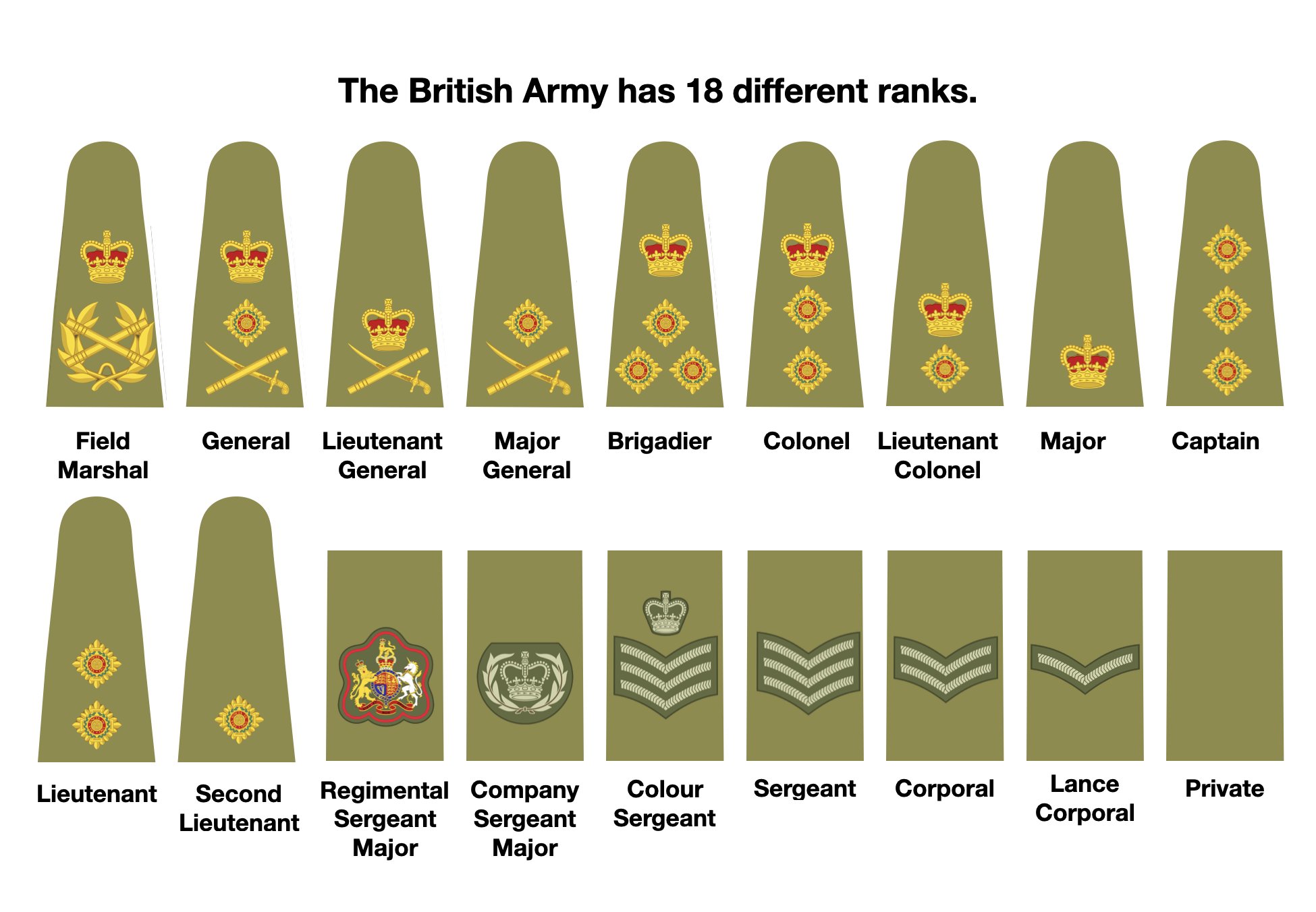 Nicholas Drummond on Twitter: 