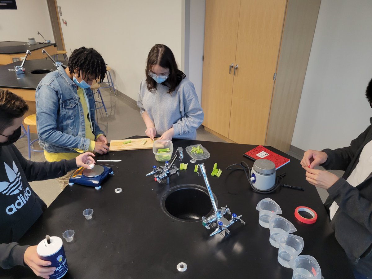 esumstweet's tweet image. Fact: When you Sub at ESUMS, you come out smarter than you went in! #APBio #alessoninosmosis #createyourownexperiment #scienceisfun @MedriaBlue @newhavenpublic1 @HannansRedd @NHPSChoice