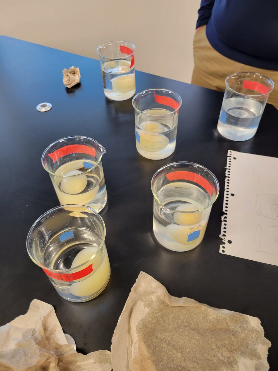 esumstweet's tweet image. Fact: When you Sub at ESUMS, you come out smarter than you went in! #APBio #alessoninosmosis #createyourownexperiment #scienceisfun @MedriaBlue @newhavenpublic1 @HannansRedd @NHPSChoice