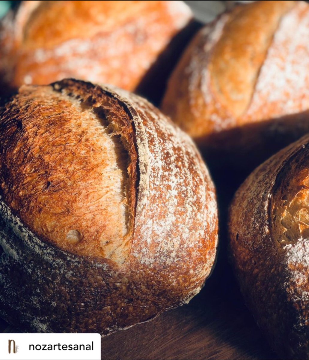jorgeisantana's tweet photo. Eu tô mt apaixonado nessa foto! #Bread #Levainbread 🥖 https://t.co/eaK1UsEjtl