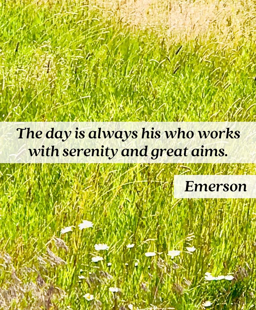 #serenity #peace #emerson #quote #meditation #selfobservance #selfawareness #goals #dreams #passions #purpose #seizetheday #greatauthors #autumn #grass #love #flowers #wildflowers #prarie #nature #naturescolors