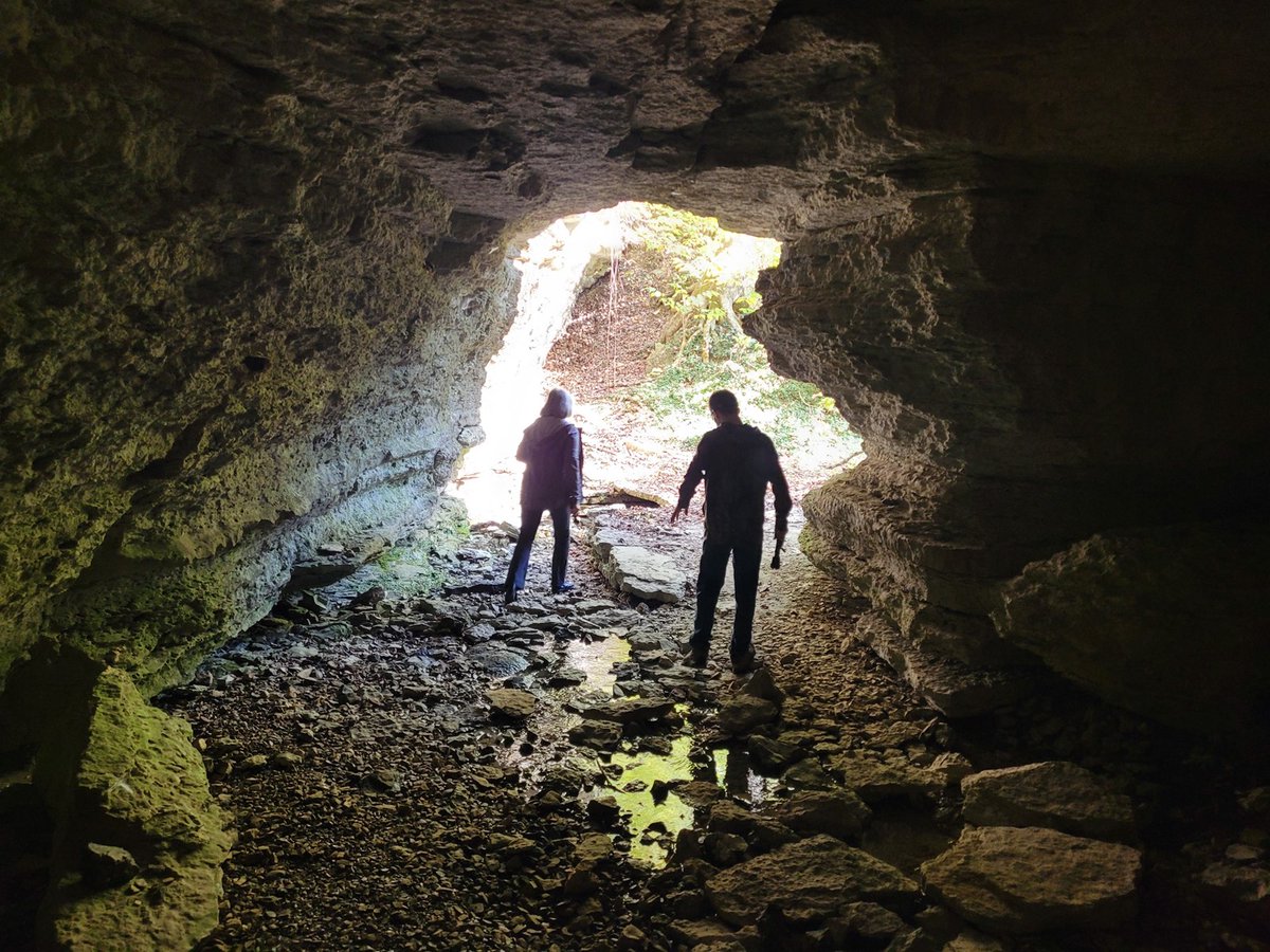 Looking for an extremely unique property to invest in? Stop scrolling and check out this southern Missouri home, land, guest cabins and CAVE for sale! 
- 2,500 sq. ft. home with 4 beds, 3 baths. 
- 22.7 acres of beautiful woodlands
- multiple guest cabins
unitedcountry.com/Recreational-P…