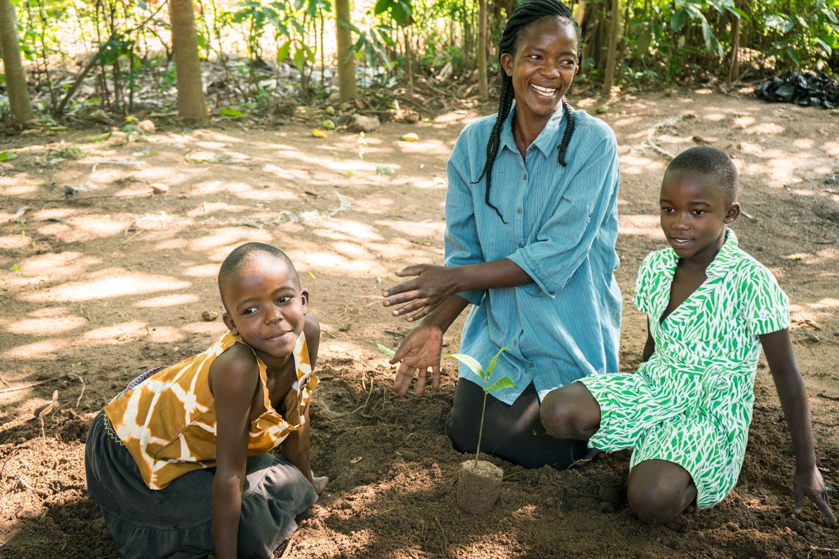 Vill du förstå hur förlusten av biologisk mångfald påverkar människors hälsa? Då ska du se Sidas digitala Development Talks den 8/11 på tema biologisk mångfald och hälsa. Anmäl dig här: anpdm.com/public/event/R…
#biologiskmångfald #biodiversity #ResilientRecovery #devtalks