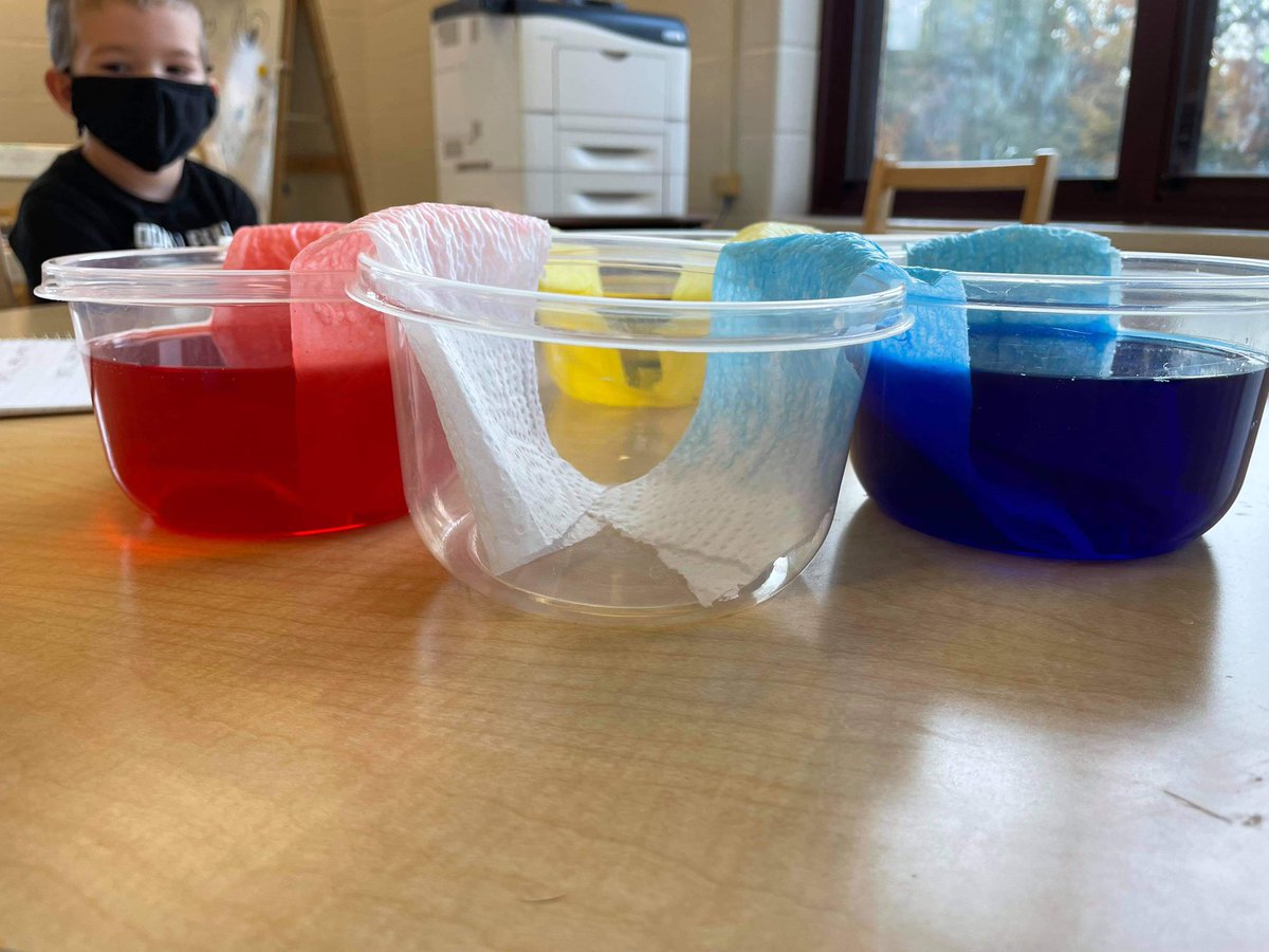 MissVictoria tweet media